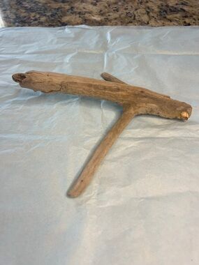 Natural Driftwood from Potomac River